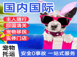 北京密云穆家峪机场物流国际宠物托运 【国